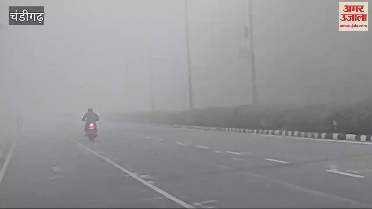 VIDEO : Heavy Fog in Chandigarh