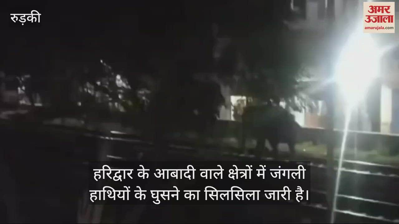 VIDEO : Elephant seen roaming on Haridwar railway track causing panic in forest department and railway administration
