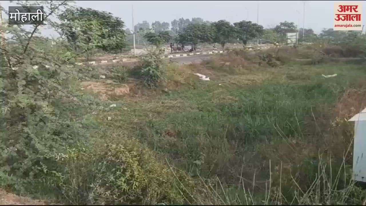 VIDEO : GMADA built market for Rs 2500 crore, shopkeepers have not yet got possession