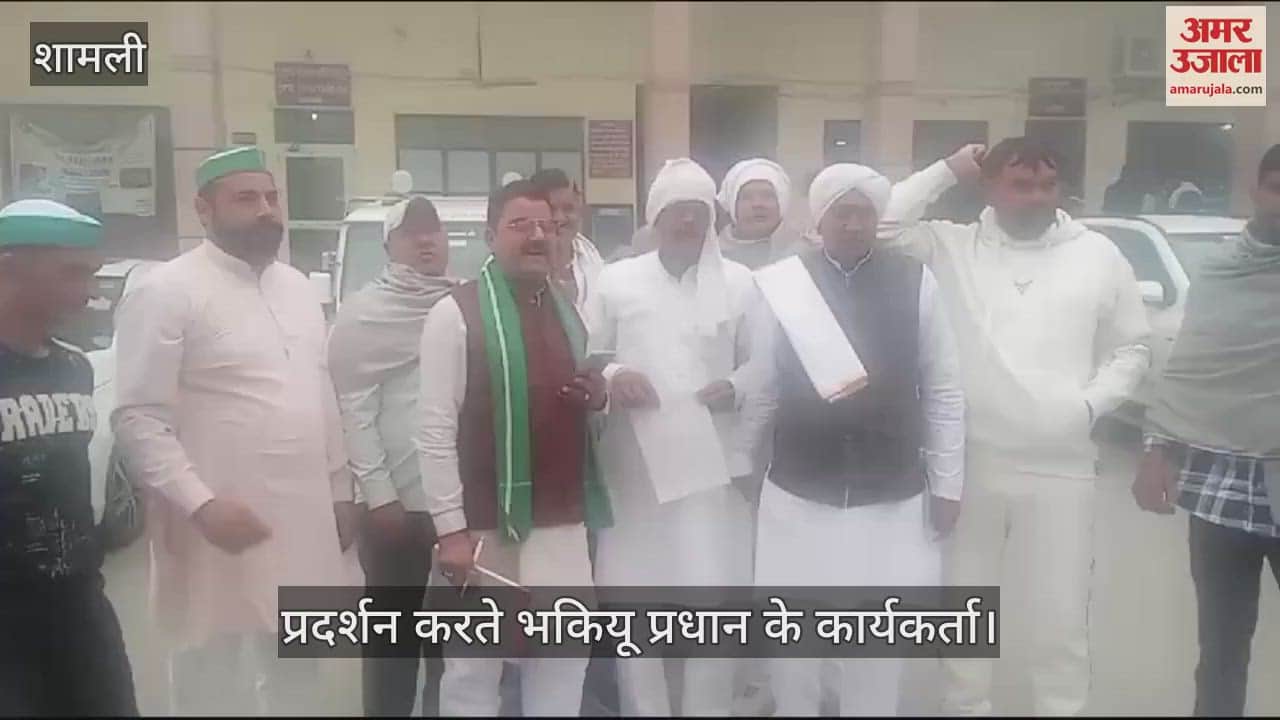 VIDEO : BKU Pradhan workers demonstrated at the Collectorate demanding payment of sugarcane dues In Shamli