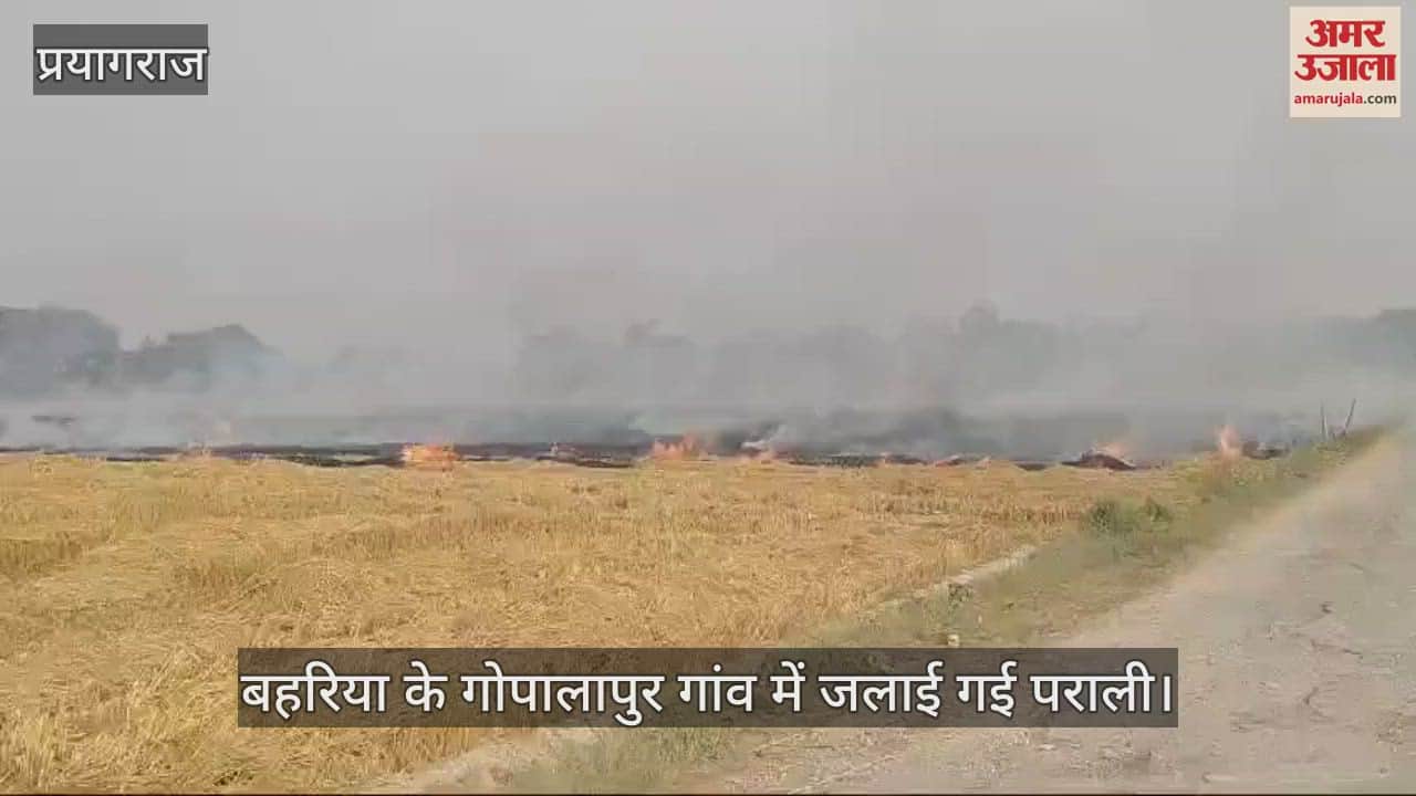 VIDEO : Prayagraj: Despite the ban, farmers burnt many bighas of stubble, responsible officials silent