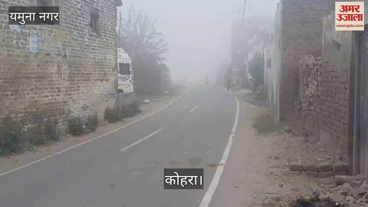 VIDEO : यमुनानगर में छाया घना कोहरा, 20 मीटर दृश्यता रही, रेंग कर चले वाहन