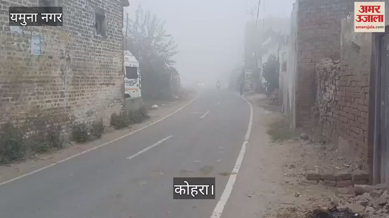 VIDEO : यमुनानगर में छाया घना कोहरा, 20 मीटर दृश्यता रही, रेंग कर चले वाहन