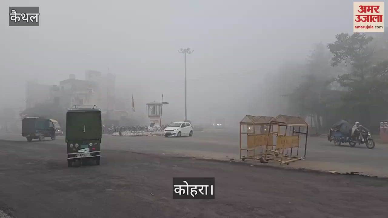 VIDEO : Fog continues to wreak havoc in Kaithal, visibility was just 40 meters on the fourth day