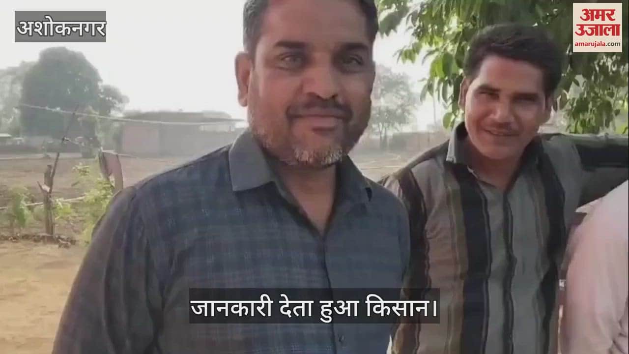 cow's calf giving milk since third day of birth people coming to see it considering it miracle