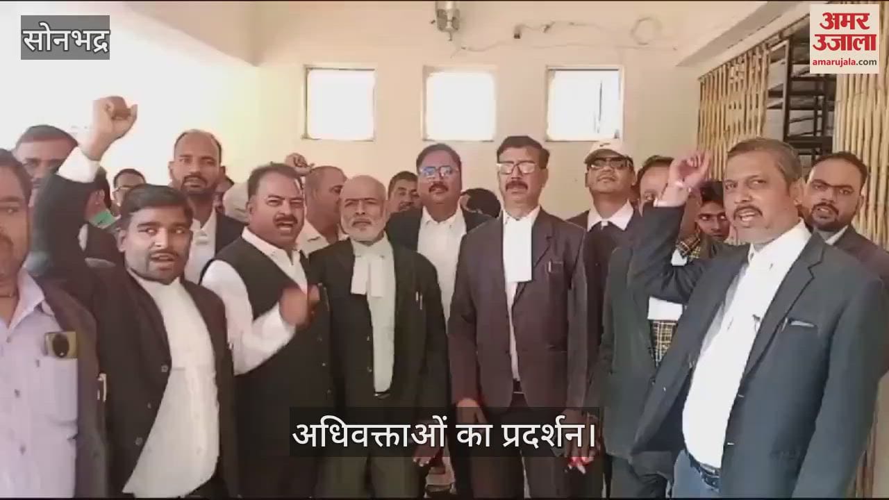 VIDEO : Tehsildar accused of corruption in Sonbhadra, advocates protest
