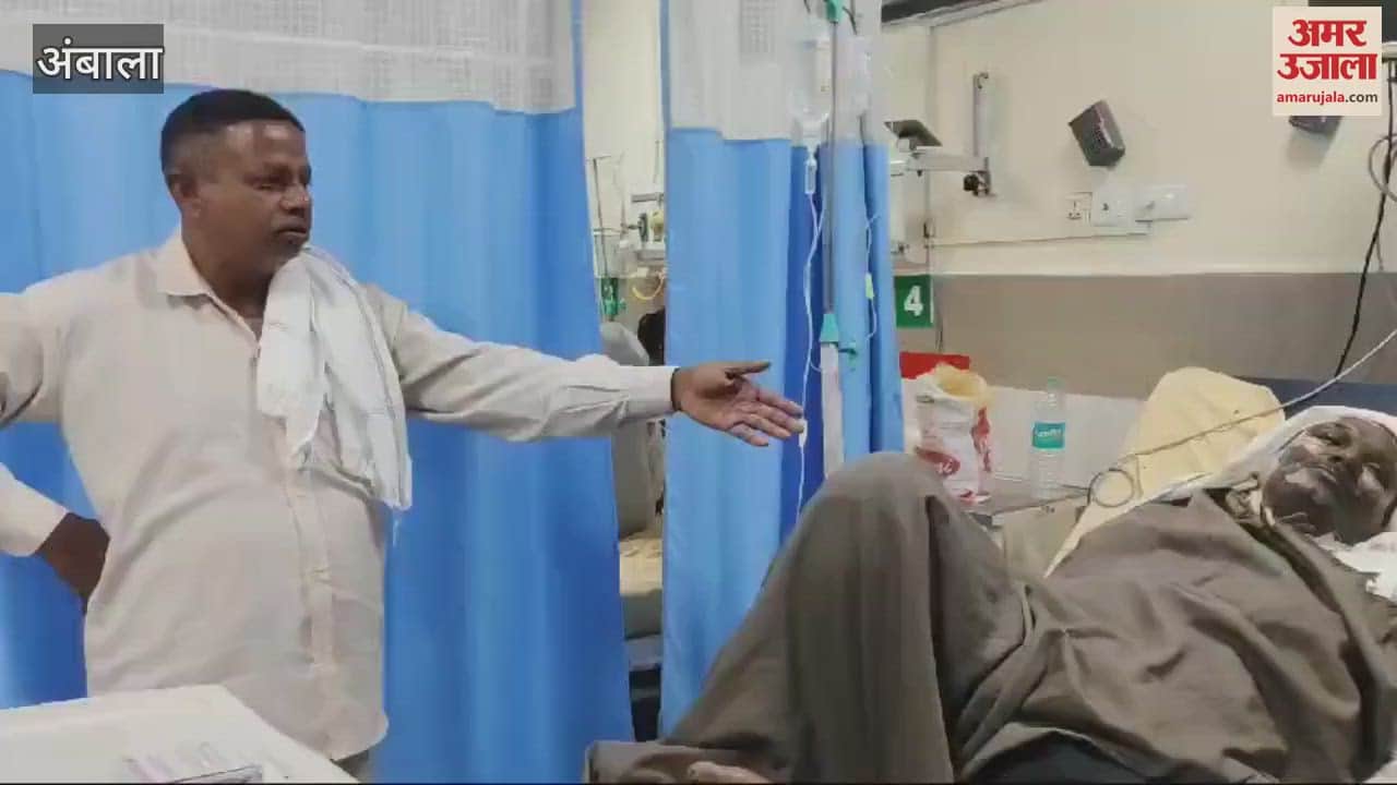 VIDEO : Dispute over cutting of white trees from fields in Ambala, two burnt after pouring petrol on them