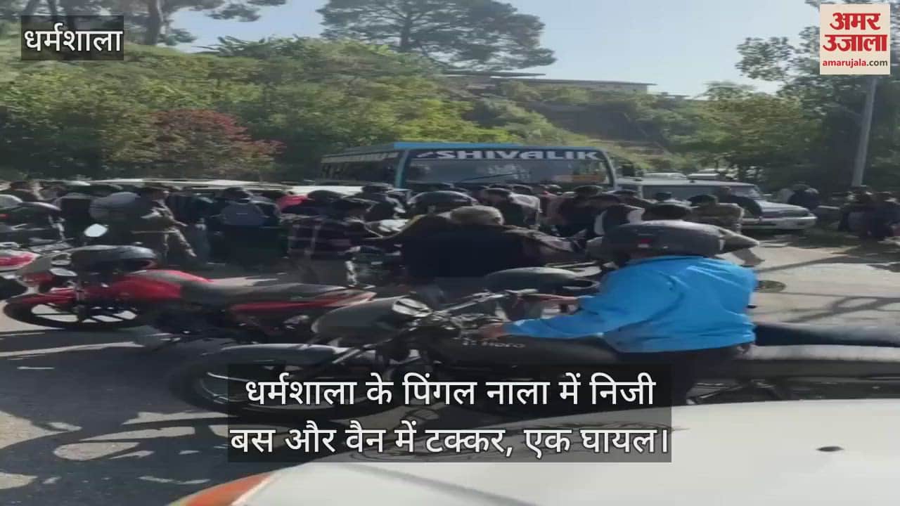 VIDEO : Private bus and van collide in Pingal Nala of Dharamshala, one injured