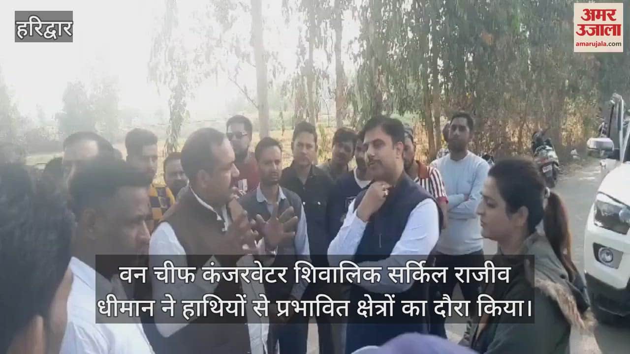 VIDEO : Forest Chief Conservator Shivalik Circle visited the areas affected by elephants