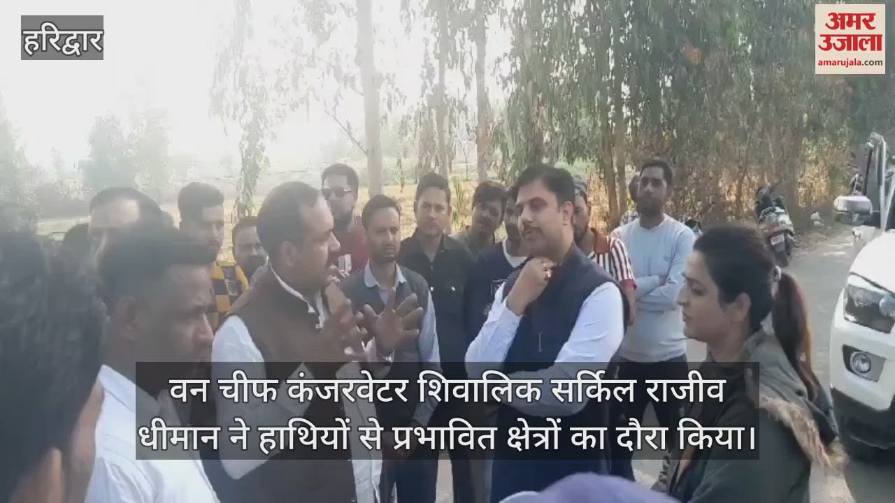 VIDEO : Forest Chief Conservator Shivalik Circle visited the areas affected by elephants