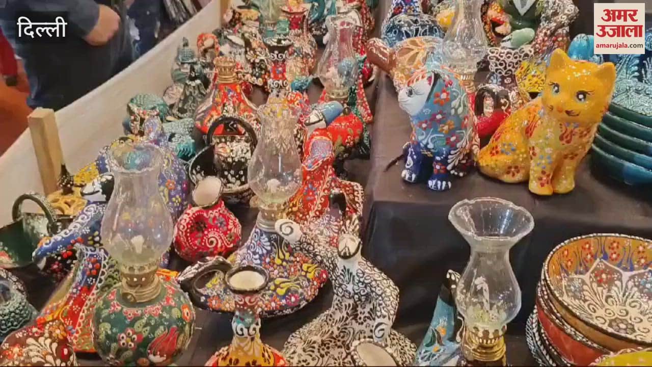 VIDEO : Common people are reaching the international trade fair in large numbers