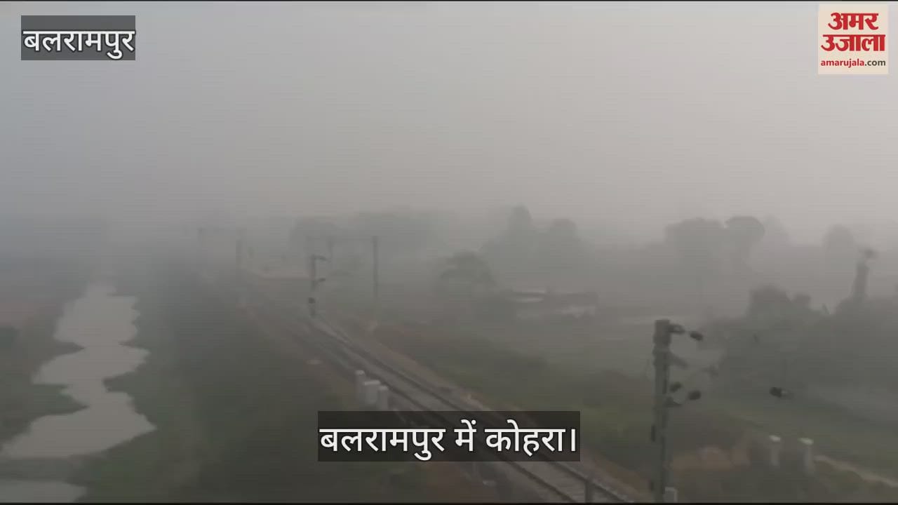 VIDEO : बलरामपुर: दृश्यता कम होने से लोगों को हो रही मुश्किल, कोहरे को लेकर प्रशासन ने जारी की एडवायजरी