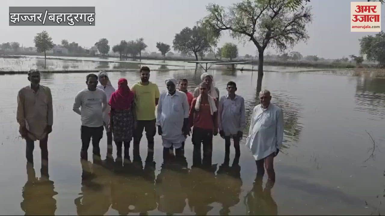 VIDEO : Farmers worried in Gauria and Mohanbari villages, fields filled with rain water for two months