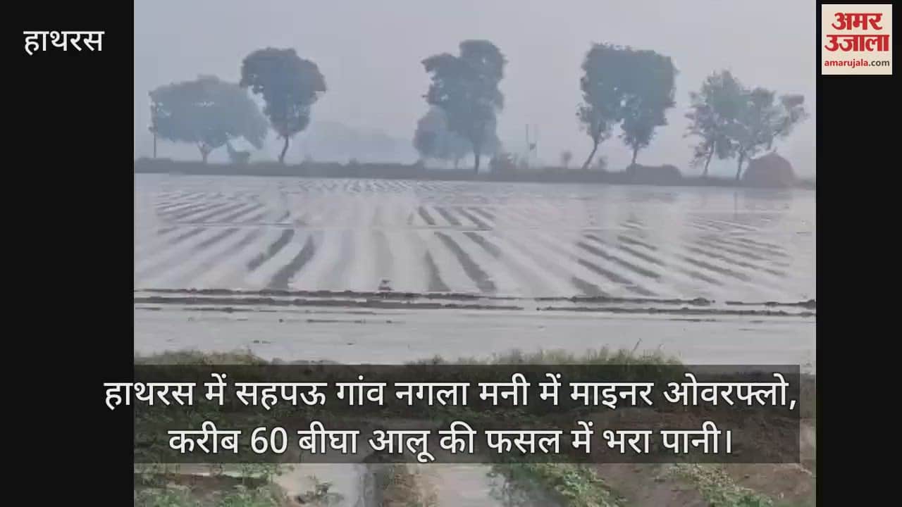 VIDEO : हाथरस में सहपऊ गांव नगला मनी में माइनर ओवरफ्लो, करीब 60 बीघा आलू की फसल में भरा पानी