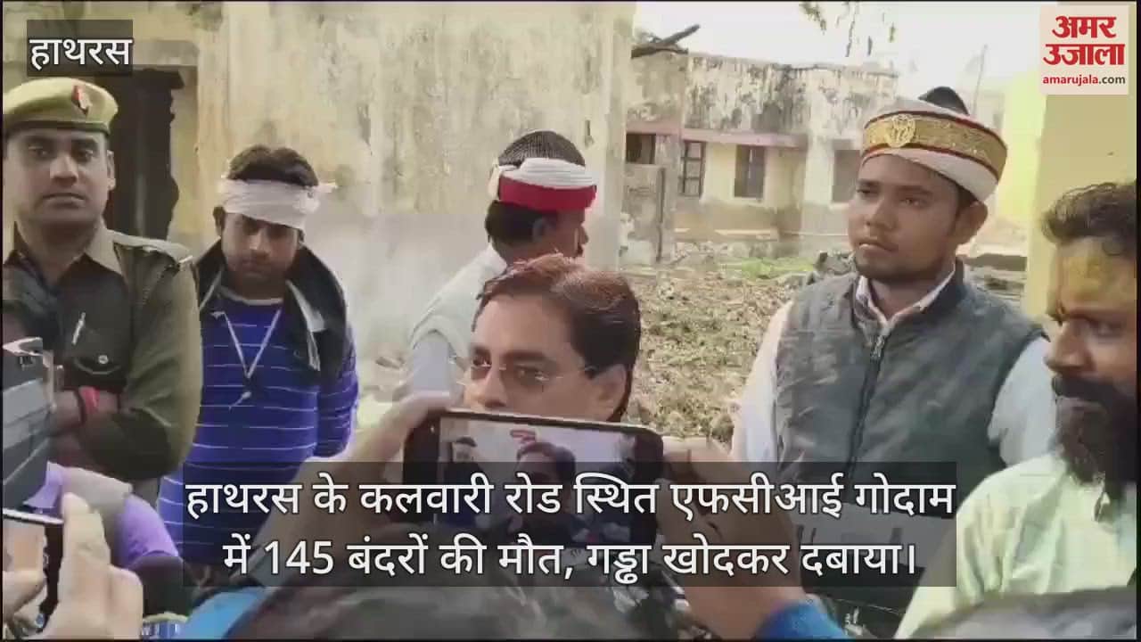 VIDEO : हाथरस के कलवारी रोड स्थित एफसीआई गोदाम में 145 बंदरों की मौत, गड्ढा खोदकर दबाया