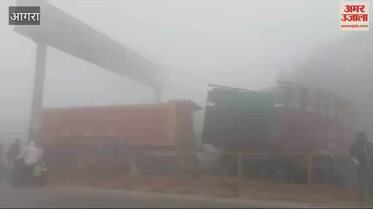 VIDEO : ग्वालियर हाईवे पर घने कोहरे की वजह से टकराए ट्रक
