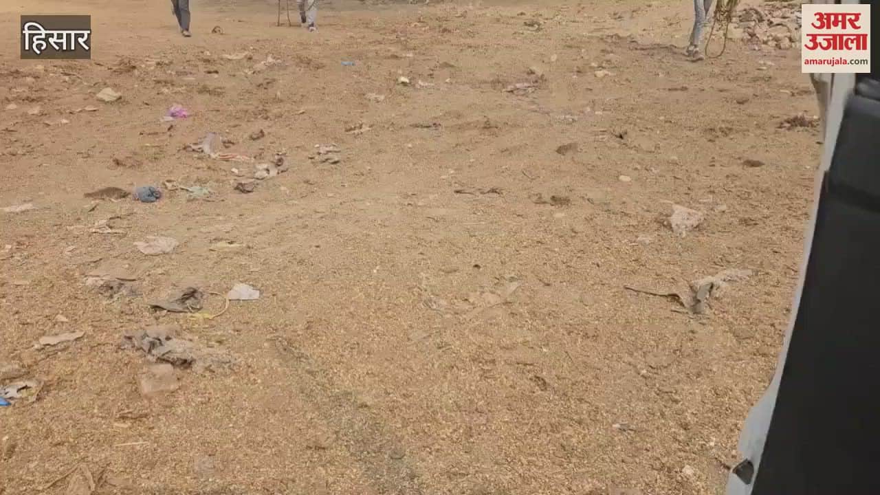 VIDEO : Animals freed from possession of corporation employees in Hisar