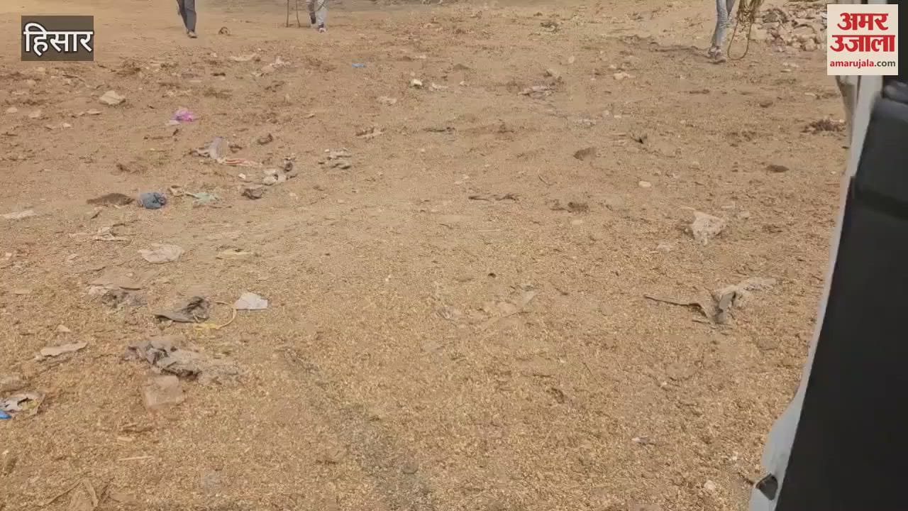 VIDEO : Animals freed from possession of corporation employees in Hisar
