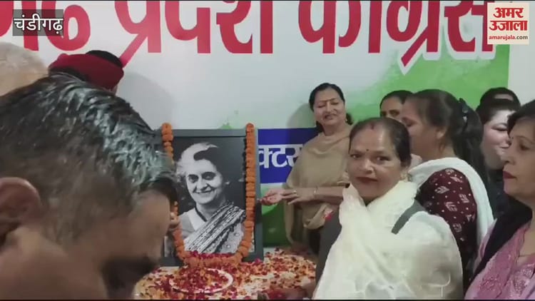 Video : Chandigarh Congress Pays Tribute To Former Prime Minister Indira Gandhi On Her Birth Anniversary – Amar Ujala Hindi News Live