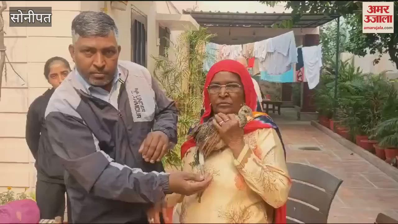 VIDEO : Sonipat family has been caring for an injured peacock for five days