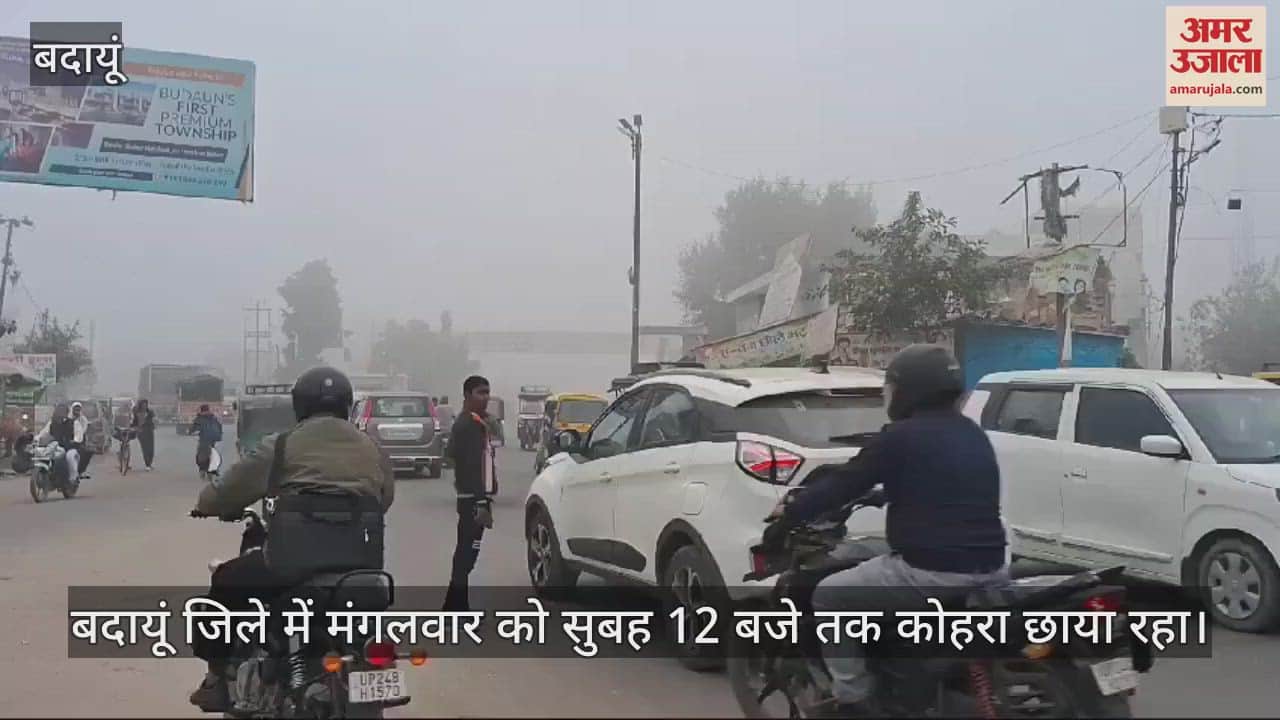 VIDEO : बदायूं में दोपहर 12 बजे तक छाया रहा घना कोहरा, सर्दी बढ़ी