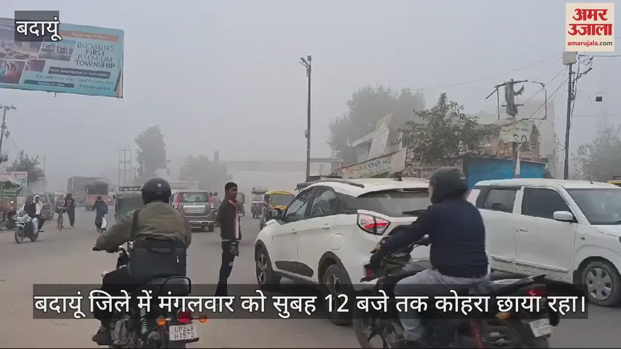 VIDEO : बदायूं में दोपहर 12 बजे तक छाया रहा घना कोहरा, सर्दी बढ़ी