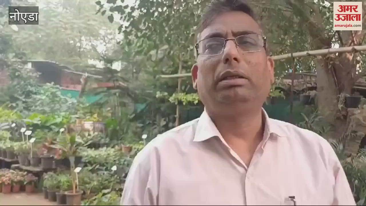VIDEO : tremendous pollution in Delhi-NCR people planting trees in their homes to purify air