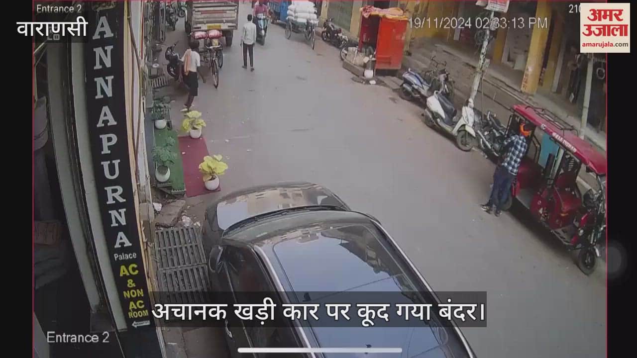VIDEO : monkey jumping on car in Varanasi broke sunroof