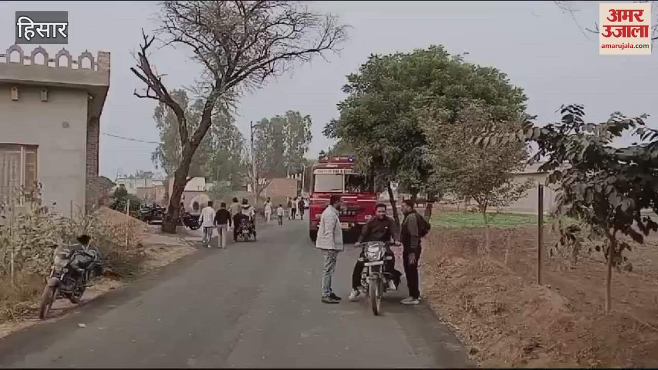 VIDEO : Uncontrolled car collides with tree in Uklana, 4 seriously injured