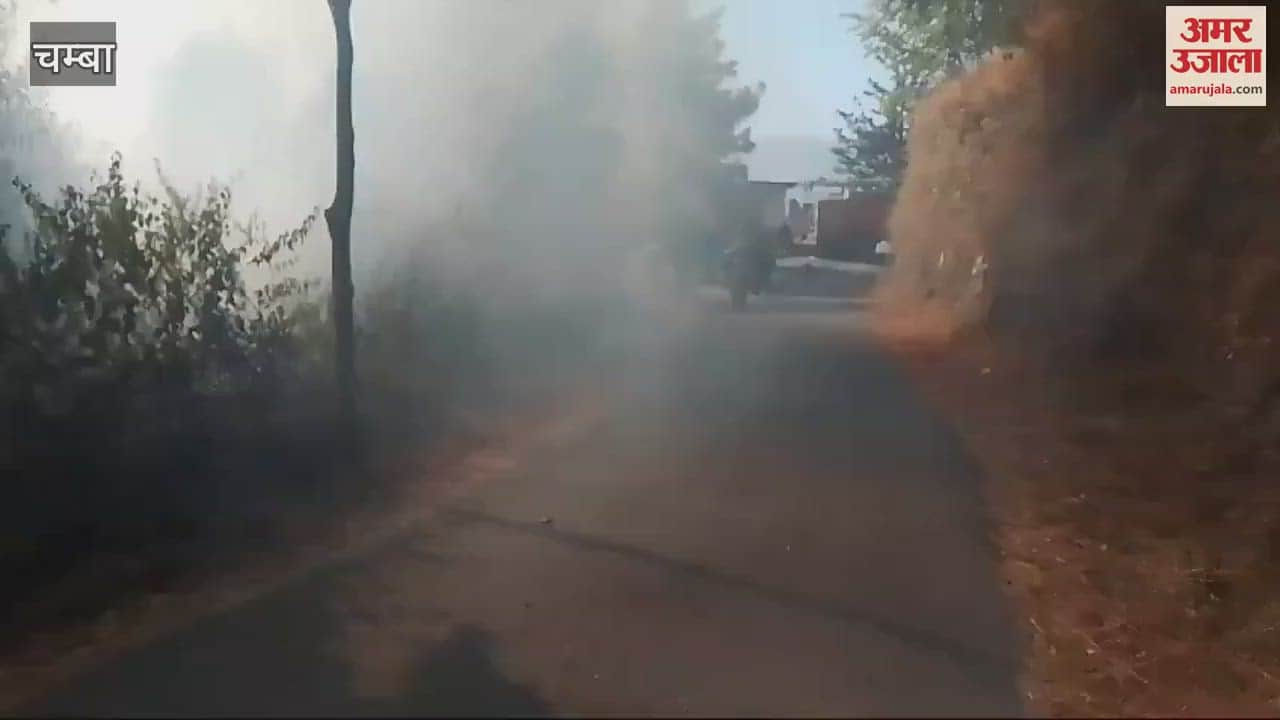 VIDEO : Miscreants set fire to Samdar forest in Chamba