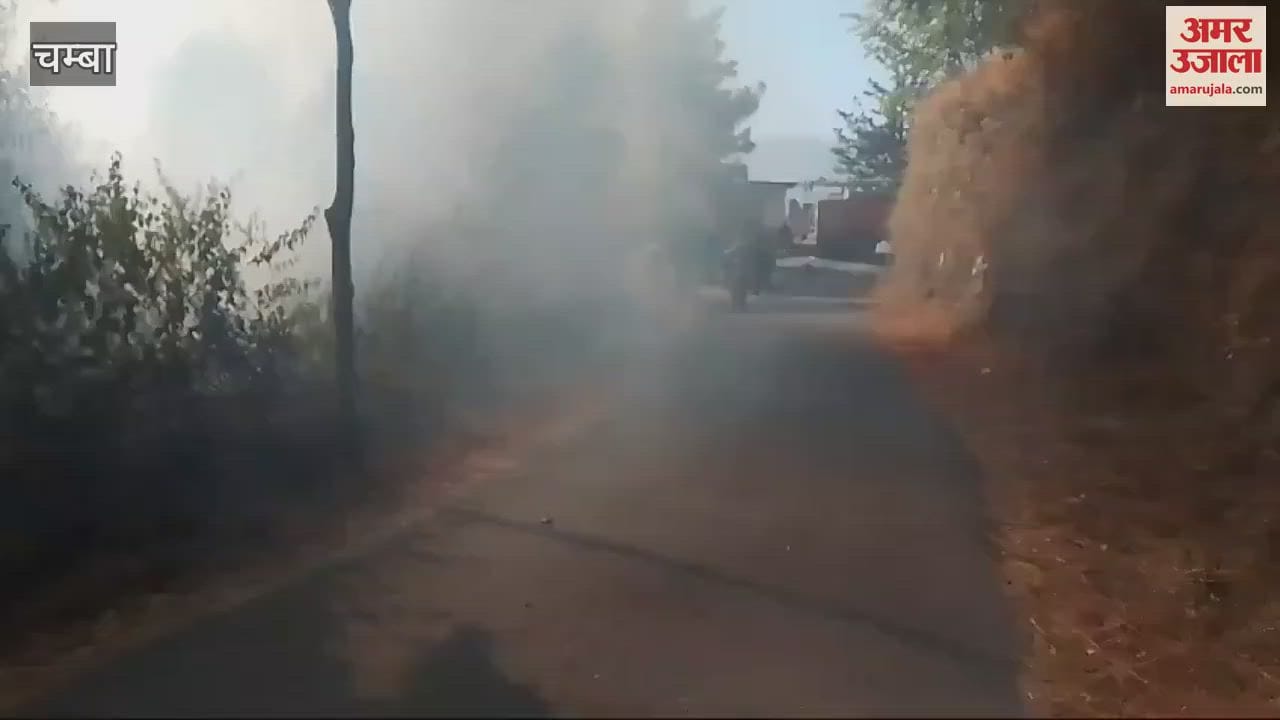VIDEO : Miscreants set fire to Samdar forest in Chamba