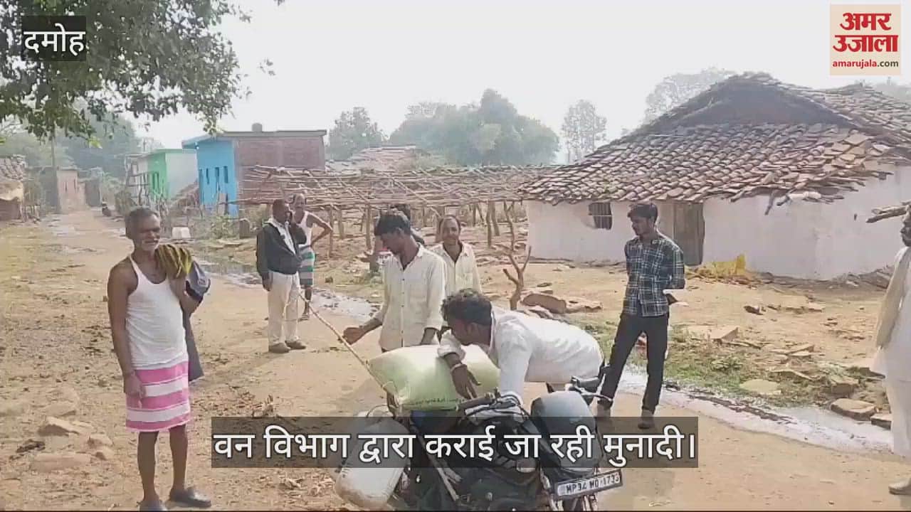 Damoh Due to fear of leopard, villagers stopped sending animals to the forest