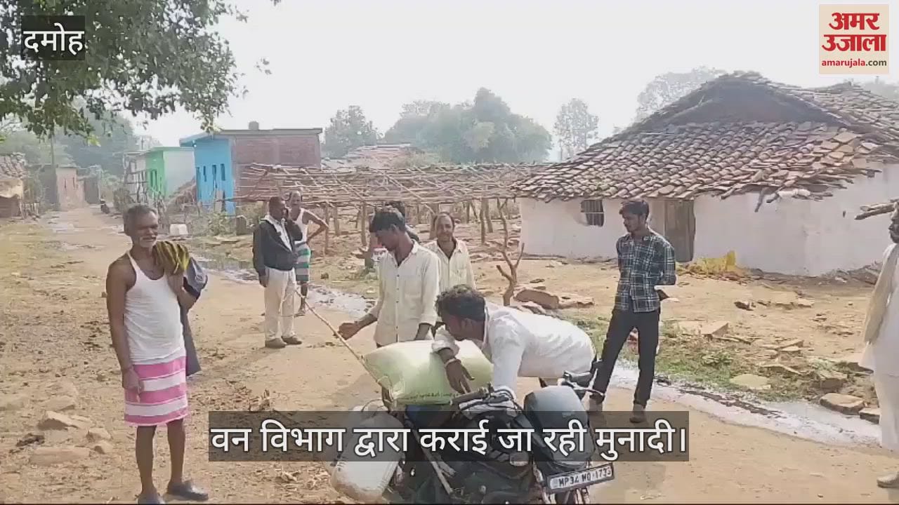 Damoh Due to fear of leopard, villagers stopped sending animals to the forest