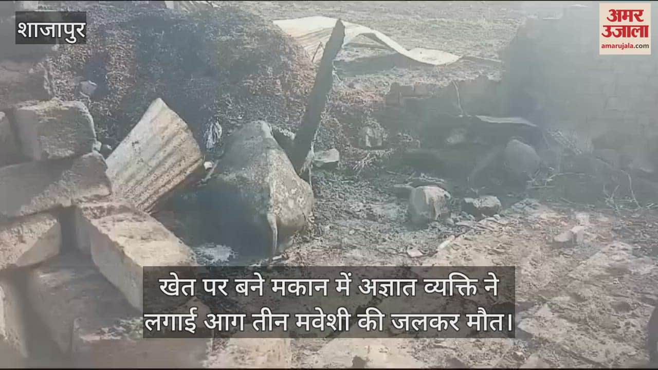 An unknown person set fire to a house built in the forest