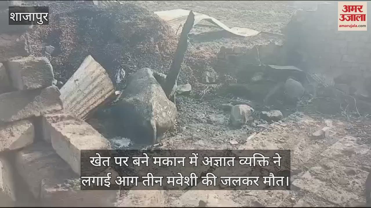 An unknown person set fire to a house built in the forest