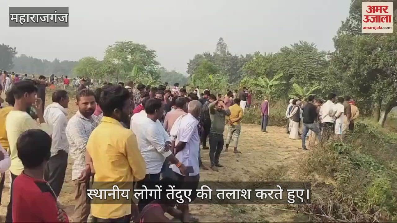 VIDEO : Leopard attacked, injured two people