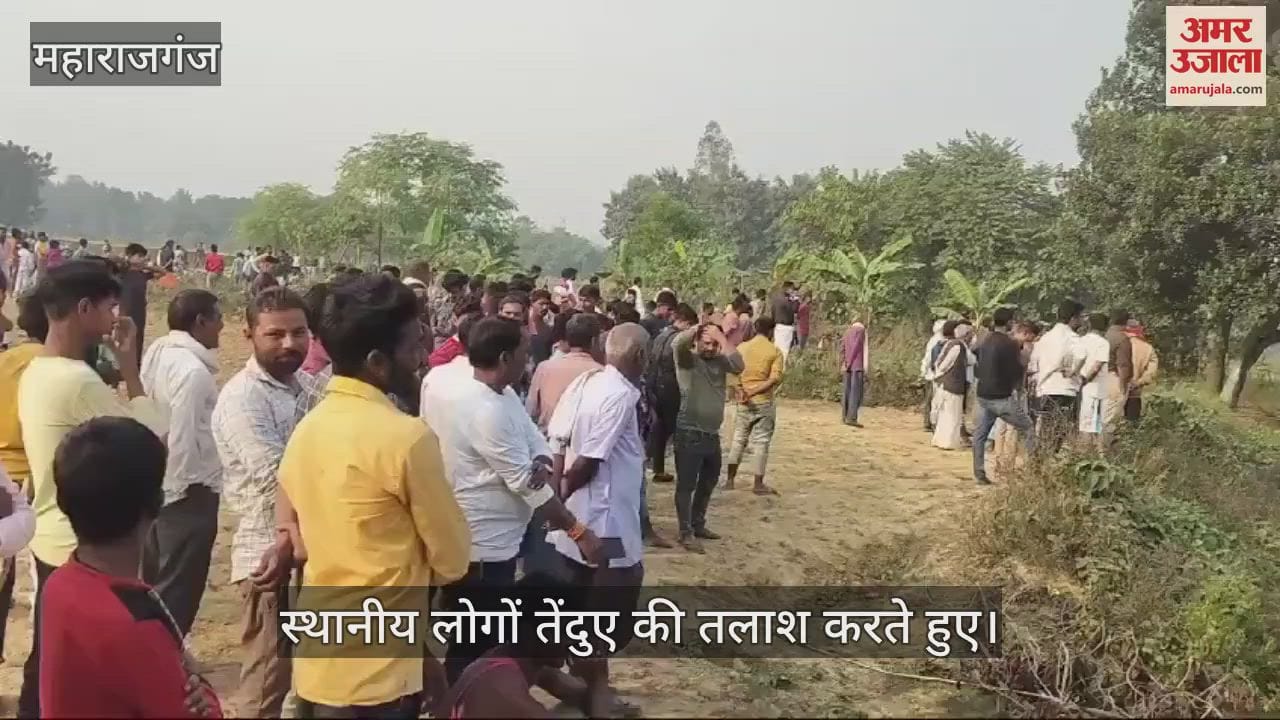 VIDEO : Leopard attacked, injured two people