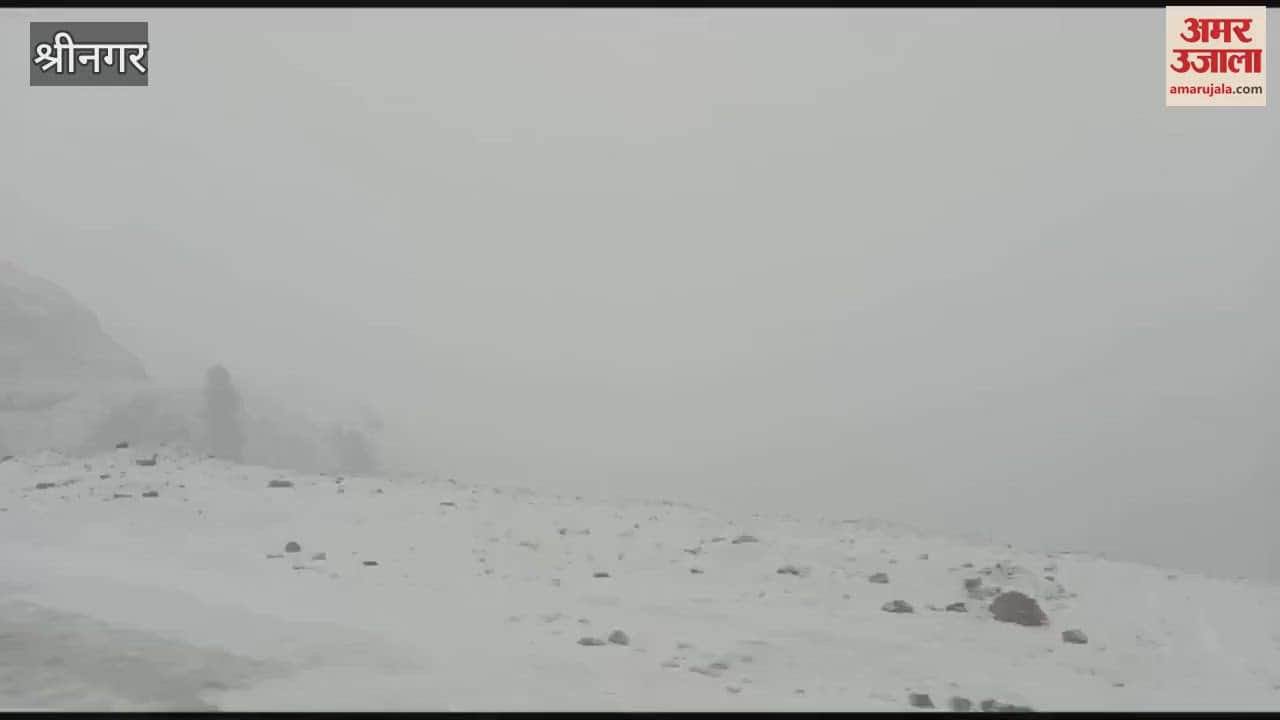 VIDEO : Snowfall begins in Sadhna Top