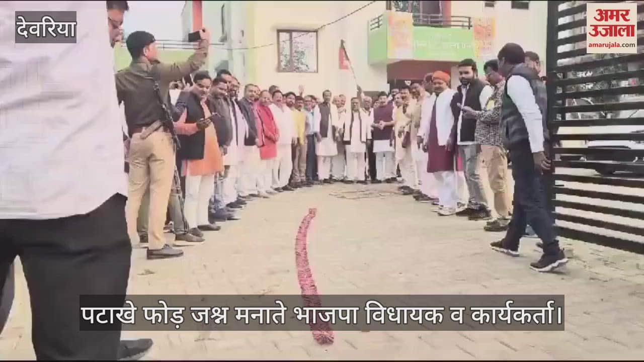 VIDEO : BJP workers celebrated victory in Maharashtra and UP, burst crackers and served sweets