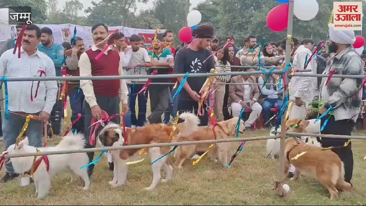 VIDEO : Dog show organized in Scot Chattha Jammu, people participated with their pet dogs Mahayuti's victory, BJP workers celebrated in Jammu