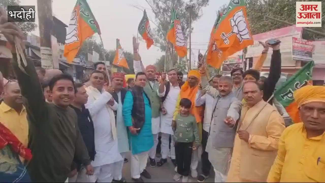 VIDEO : Celebrations fireworks BJP on victory in Maharashtra workers people voted name of development