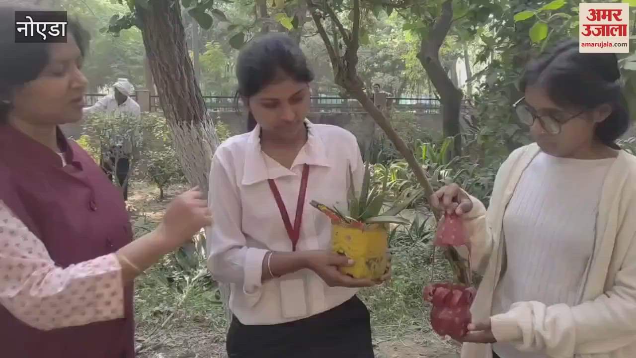 VIDEO : decorate your small courtyard or balcony with plants know these methods