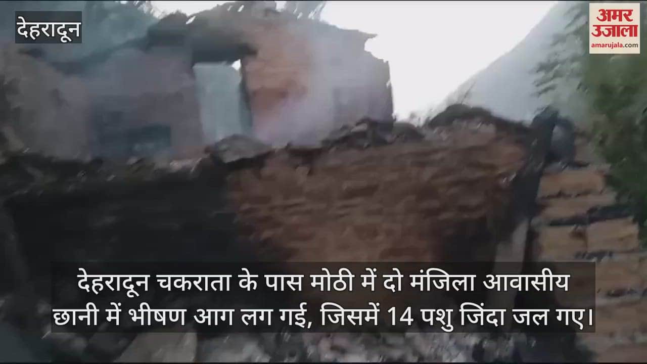 VIDEO : Animal shelter 14 animals burnt alive in fire in residential shed Vikasnagar Dehradun News