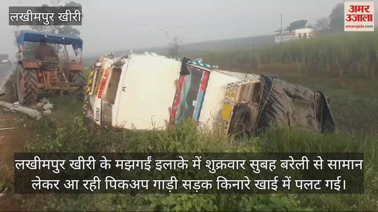 VIDEO : हाईवे पर छुट्टा पशु आने से हादसा, खाई में पलटी पिकअप, बाल-बाल बचे चालक-परिचालक