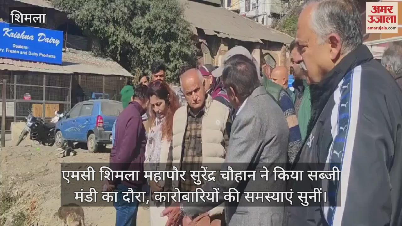 VIDEO : MC Shimla Mayor Surendra Chauhan visited the vegetable market, listened to the problems of the traders