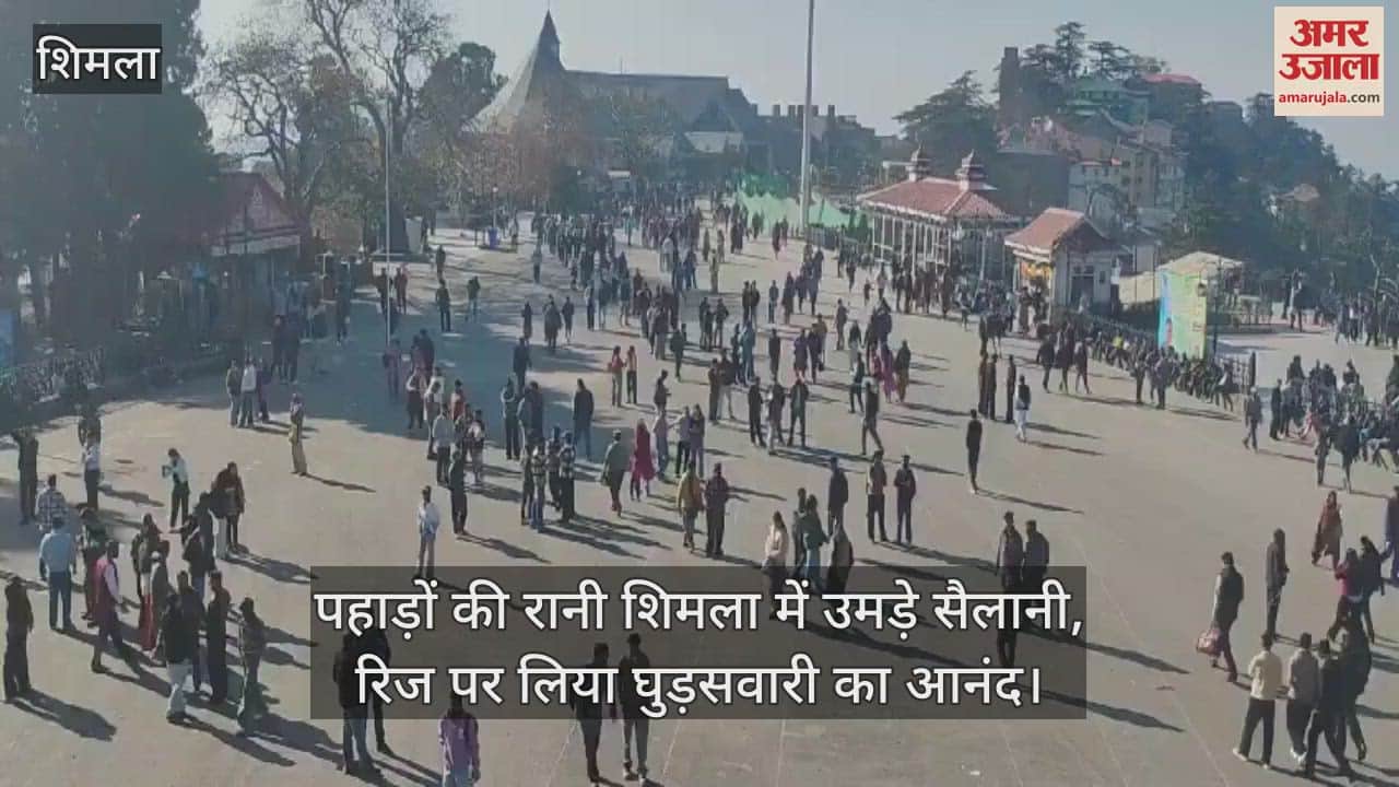 VIDEO : Tourists flocked to Shimla, the queen of mountains, enjoyed horse riding on the ridge