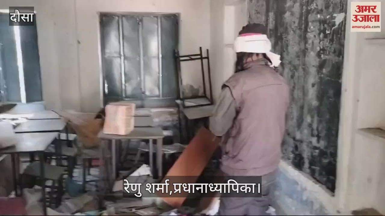 Dausa News: Snake terror in government school, snake and female snake caught after 6 hours of effort