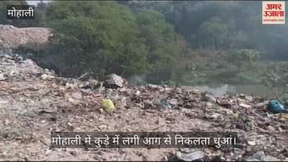 VIDEO : जंगल में पड़े कचरे के ढेर में लगी आग मोहाली धुआं-धुआं