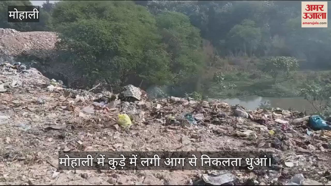 VIDEO : जंगल में पड़े कचरे के ढेर में लगी आग मोहाली धुआं-धुआं