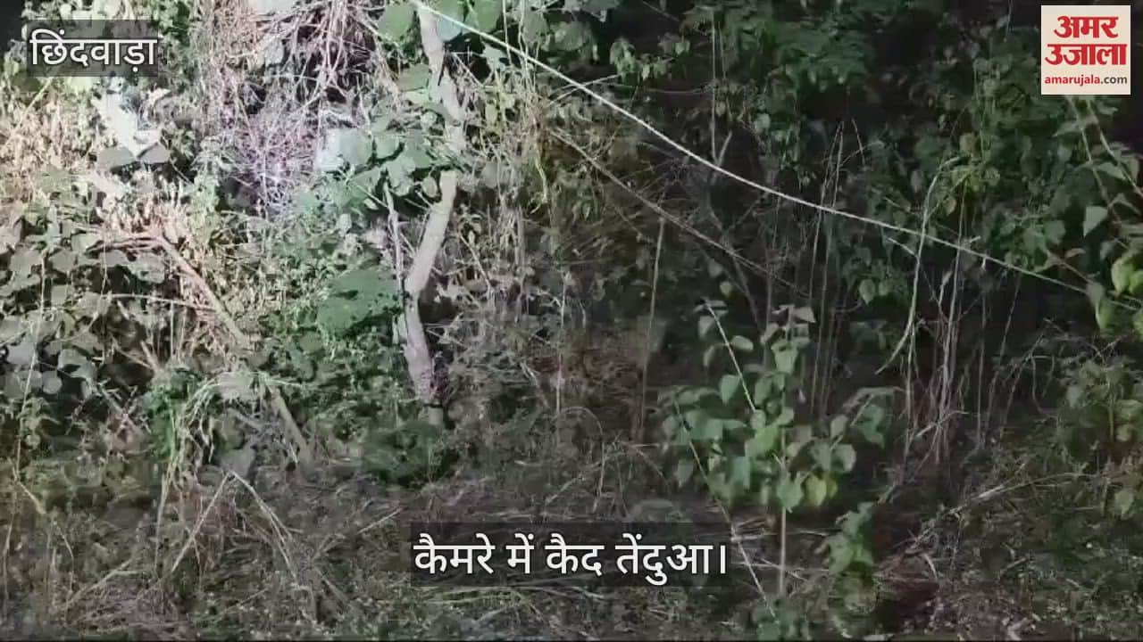 Female leopard caught on camera in Poama forest zone, forest department issues alert